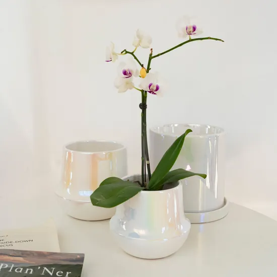 Ins Amazon Vendita calda Decorazione di nozze Fioriere Vaso in ceramica Vaso per orchidee smaltato bianco perla