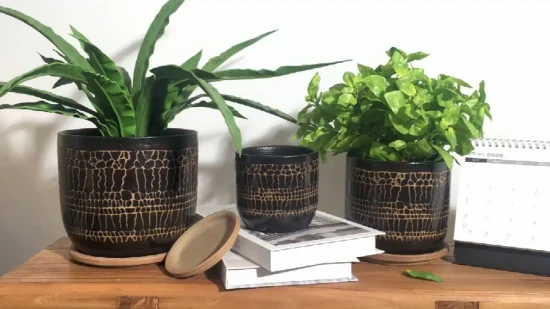 Classico vaso per piante in ceramica da interni, vasi da fiori moderni con supporto in legno